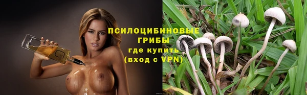 прущие грибы Баксан