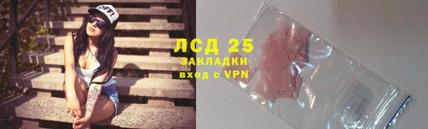 прущие грибы Баксан