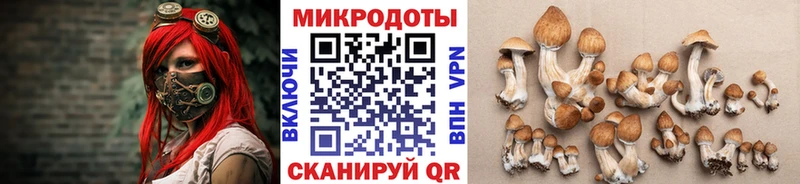 Псилоцибиновые грибы MAGIC MUSHROOMS  Сельцо 